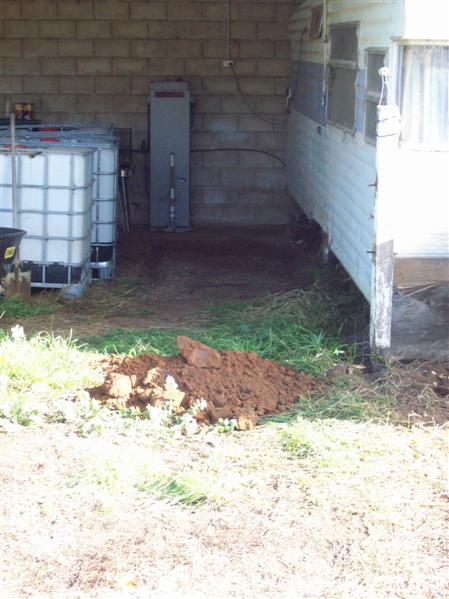 site 001 (Custom).JPG