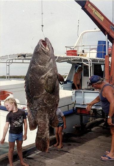 Copy of scan0003.jpg