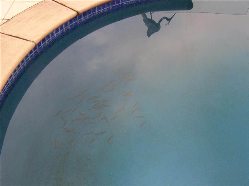 100_6341 (Custom).JPG