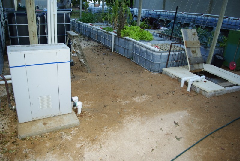 AP 004 (800x536).jpg