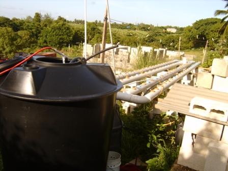 Damian's NFT System1.jpg