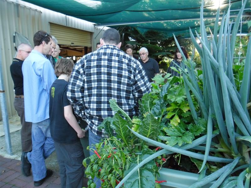 SAM_0200 (Medium).JPG