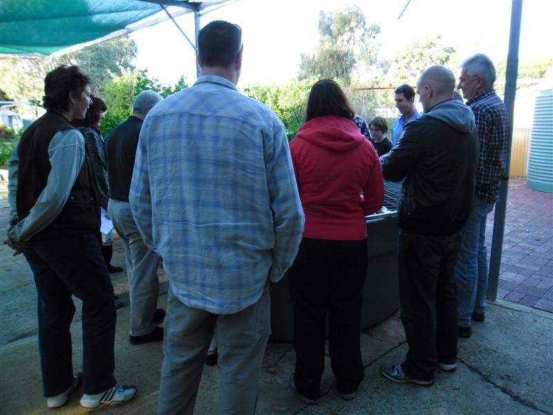 SAM_0203 (Medium).JPG