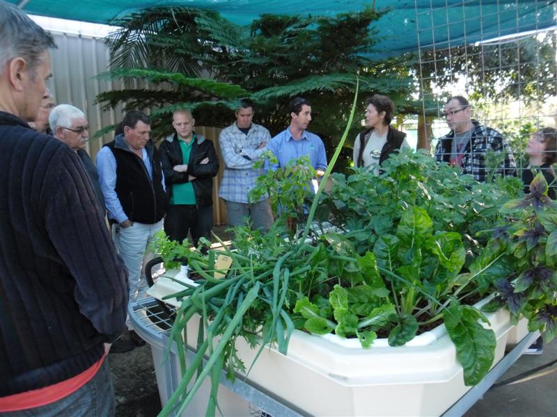 SAM_0207 (Medium).JPG