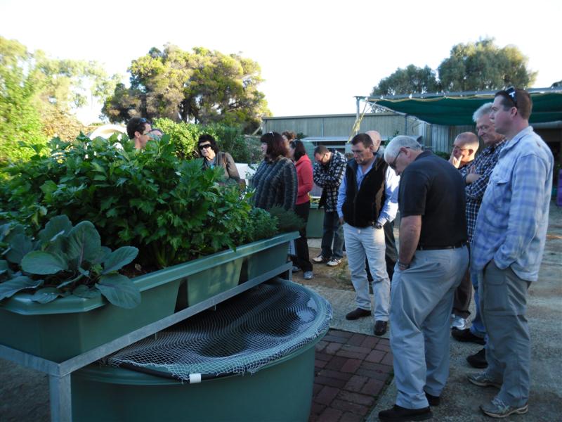 SAM_0211 (Medium).JPG