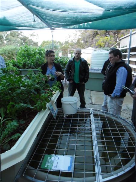 SAM_0069 (Medium).JPG