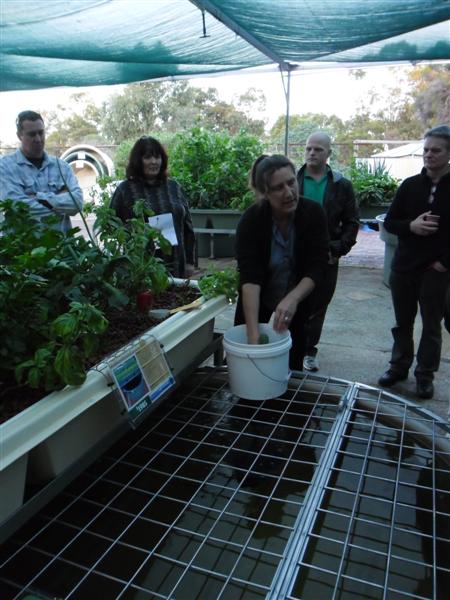 SAM_0071 (Medium).JPG