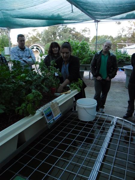 SAM_0072 (Medium).JPG