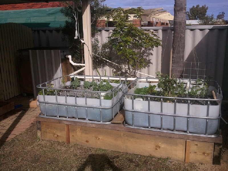 2011-06-26 13.43.04.jpg