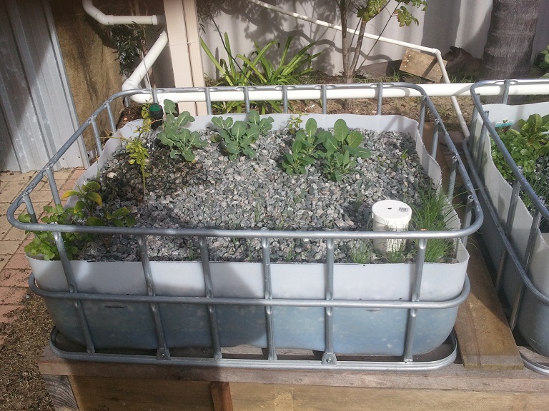 2011-06-26 13.41.04.jpg