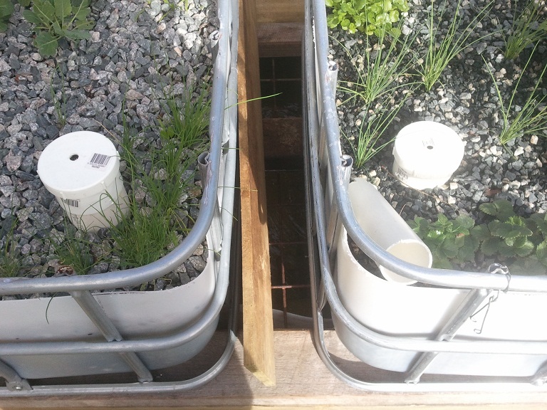 2011-06-26 13.41.50.jpg