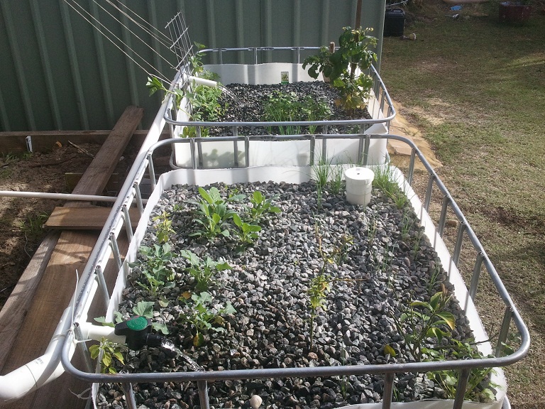 2011-06-26 13.41.34.jpg