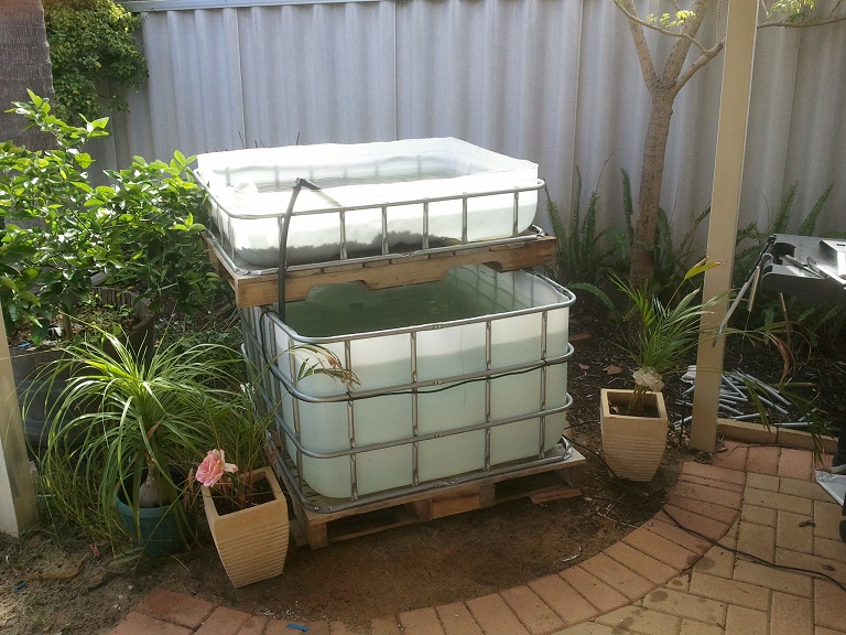 2011-06-26 13.42.07.jpg