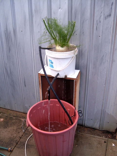 mine first minsystem! 001.jpg