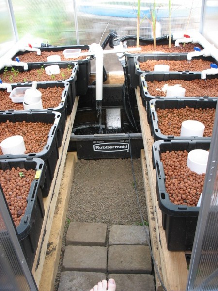 Inside Greenhouse 6.29.2011.jpg