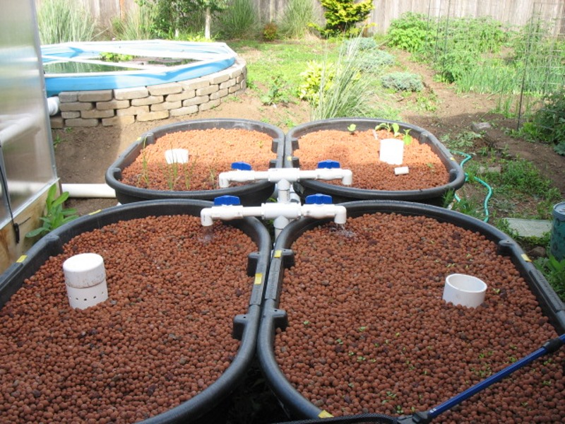 Outdoor Growbeds.jpg