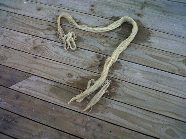 IMG00033-20110227-1808 %282%29.jpg