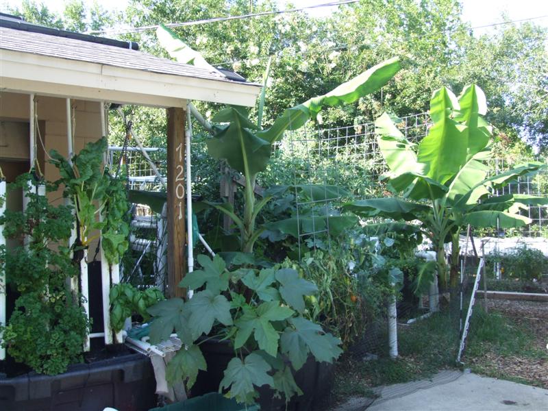 Front Porch (Medium).JPG