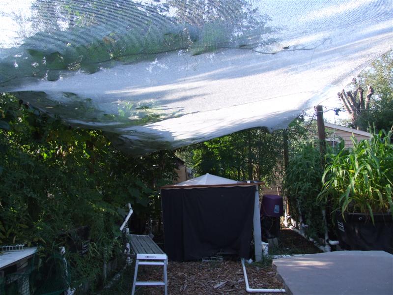 300 gallon system July 3 2011 (Medium).JPG