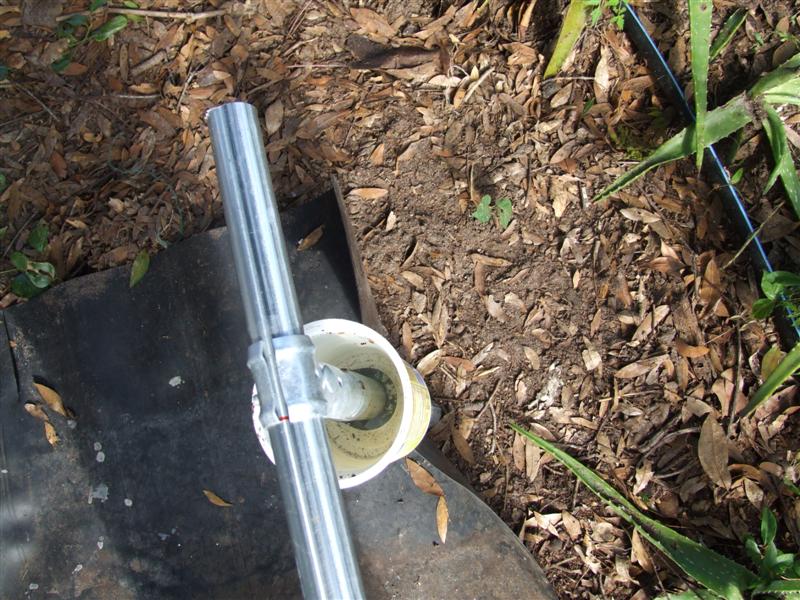 Looking in container (Medium).JPG