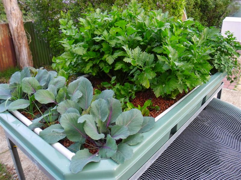 SAM_0107 (Medium).JPG