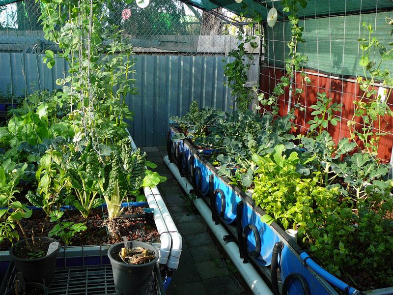 P1050534 (Custom).JPG