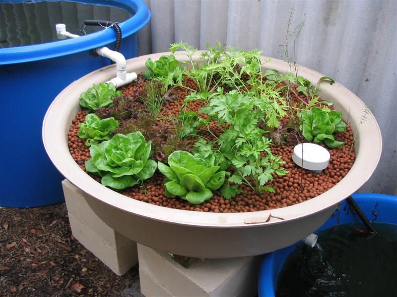 IMG_2125 (Medium).jpg