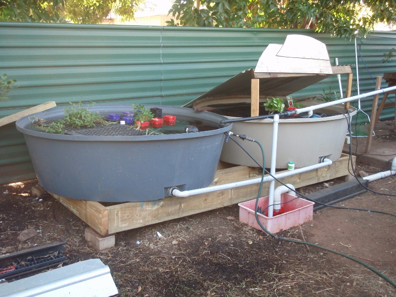 P7090182 (800x600).jpg