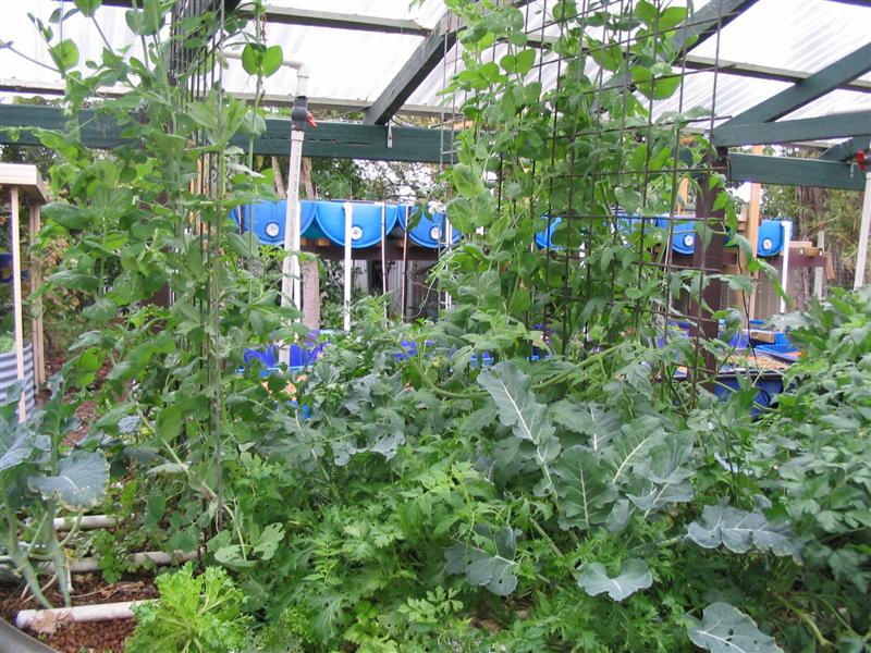 IMG_2127 (Medium).jpg