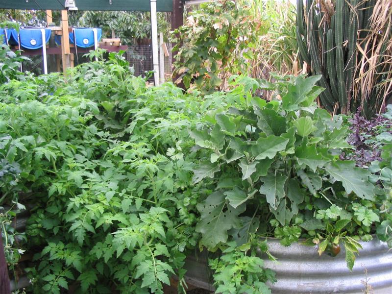 IMG_2128 (Medium).jpg