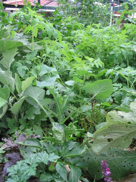 IMG_2129 (Medium).jpg