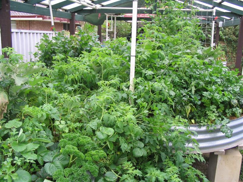 IMG_2130 (Medium).jpg