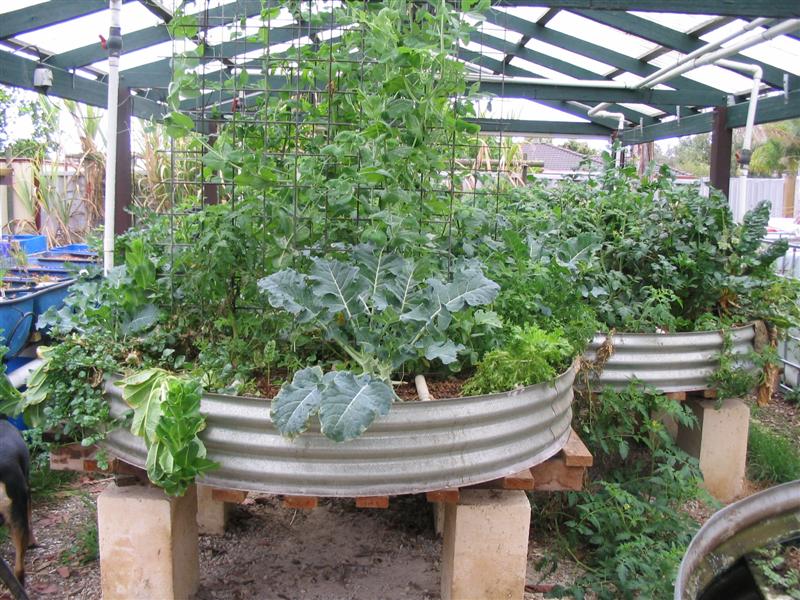 IMG_2126 (Medium).jpg