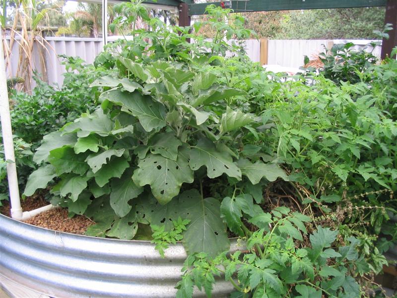 IMG_2131 (Medium).jpg