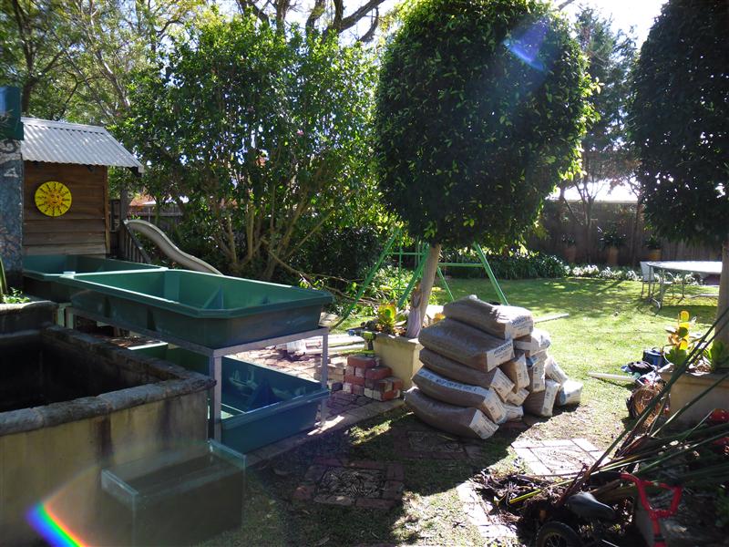 SAM_0124 (Custom).JPG