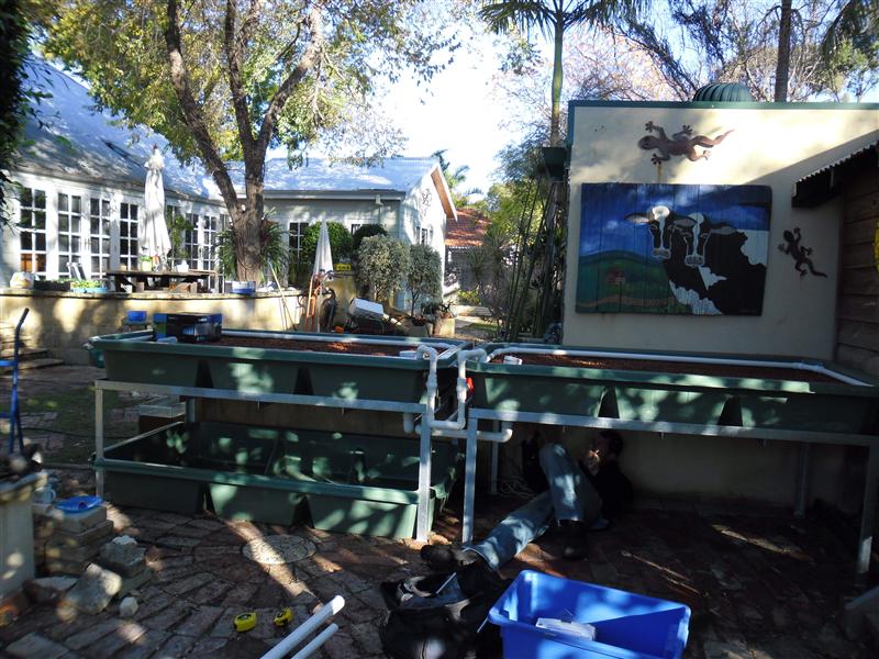 SAM_0131 (Custom).JPG