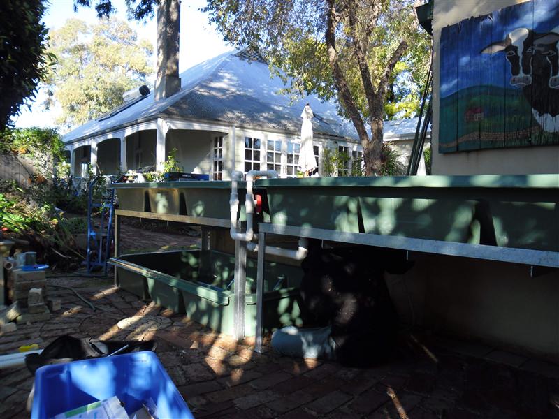 SAM_0134 (Custom).JPG