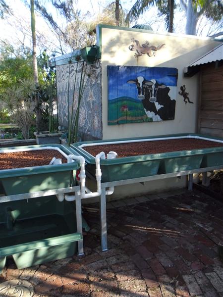 SAM_0137 (Custom).JPG