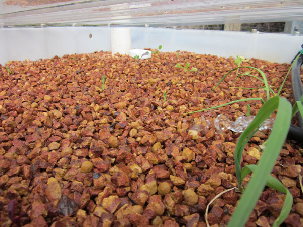 12072011 003-sml.jpg