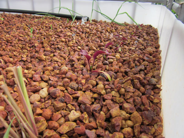 12072011 007-sml.jpg