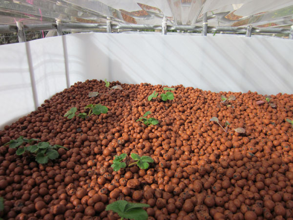 12072011 009-sml.jpg