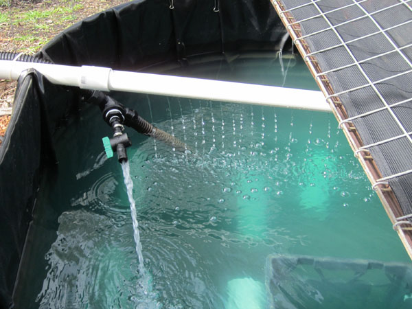 12072011 011-sml.jpg