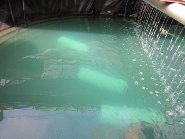 12072011 014-sml.jpg