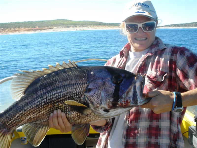 P7132114 (Medium).JPG