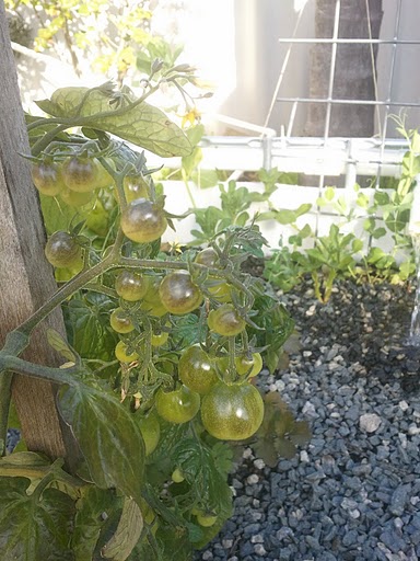 2011-07-16 14.29.57.jpg