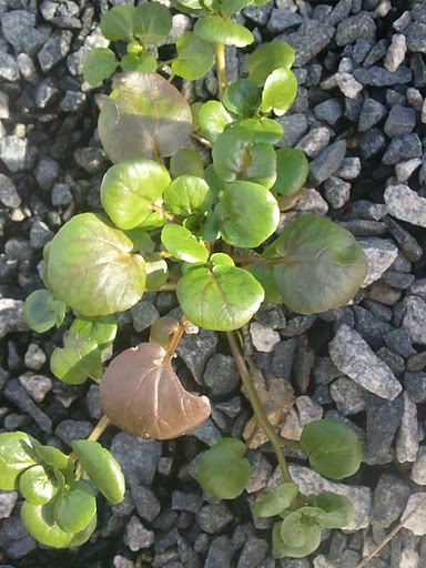 2011-07-16 14.30.15(1).jpg