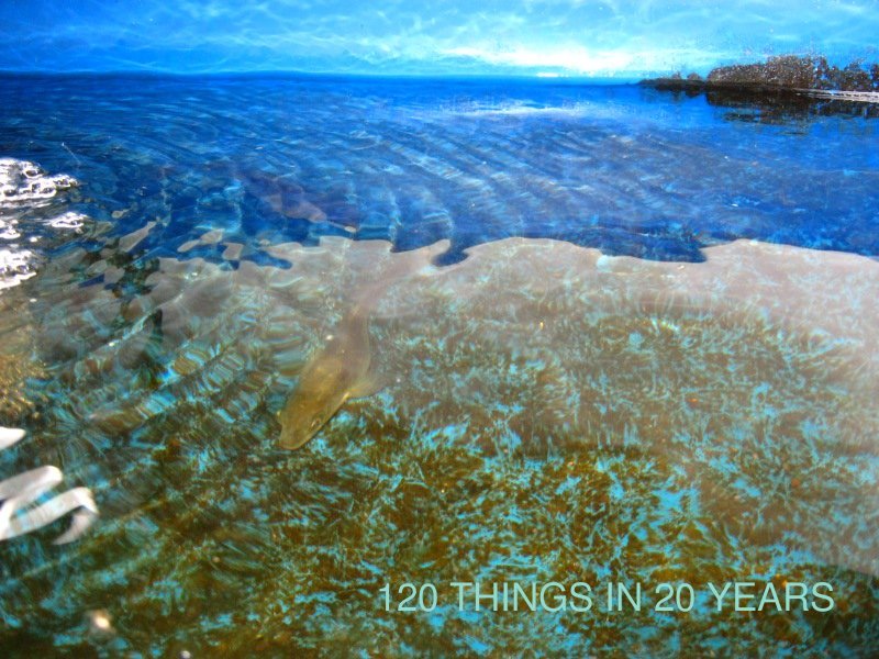 120 Things in 20 years - Aquaponics - BYAP Photo comp 2010 .jpg