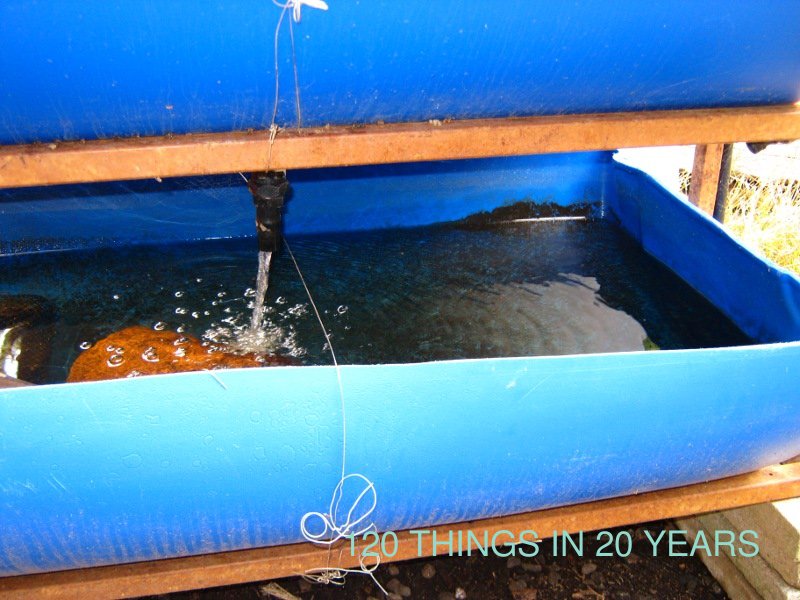 120 Things in 20 years - 120 things in 20 years BYAP photo comp 2010 - What a difference a frame makes.jpg