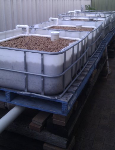 006 - Completed System.jpg