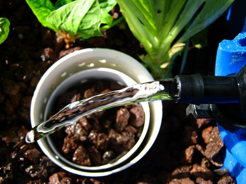 Aquaponics - doubled flow rate.JPG